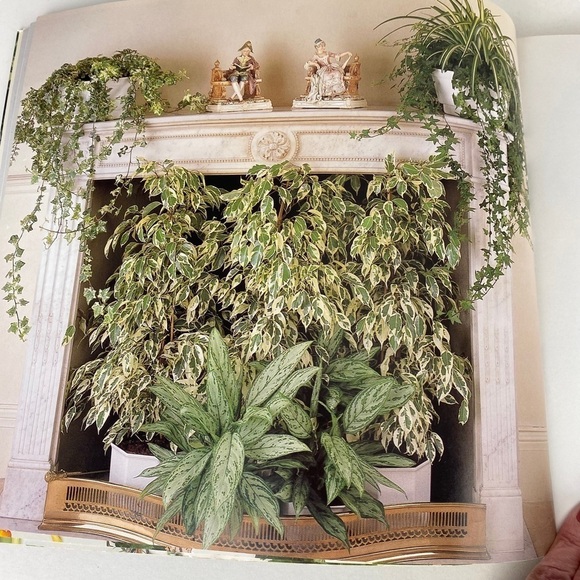 Houseplant Care Book Step by Step Guide 124 Pages Whitecap 1994 - Picture 4 of 11